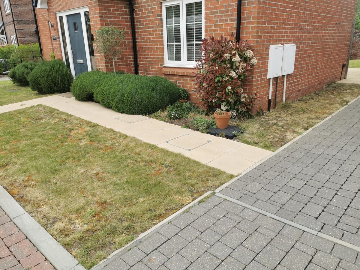 Before: Front lawn to gravel, planting and box hedging
