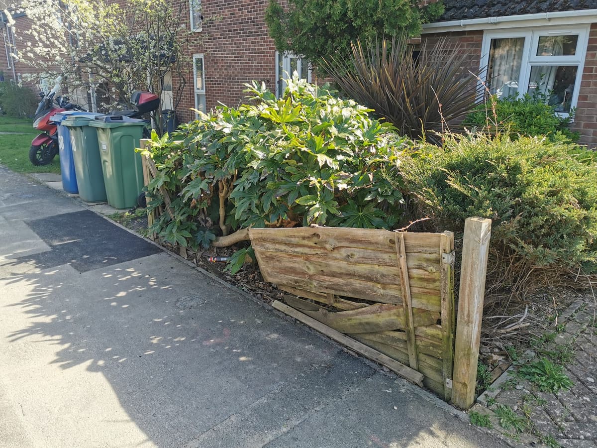 Before: Broken front fence to a slatted timber planter