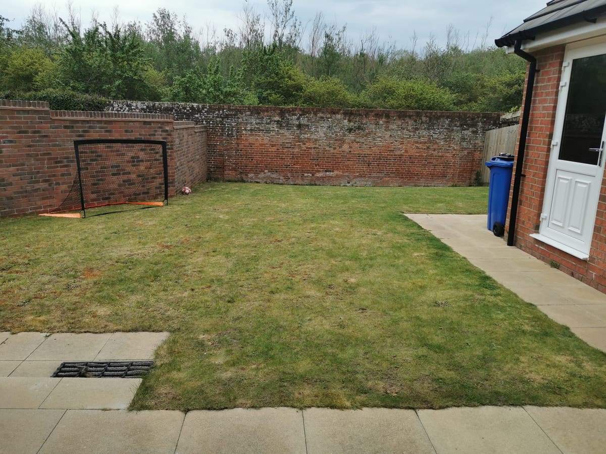 Before: Thin lawn to new turf with a pop-up irrigation system