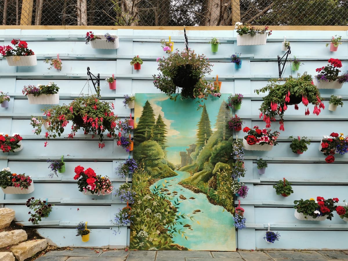 Planting & Borders by Stone Valley Landscapes