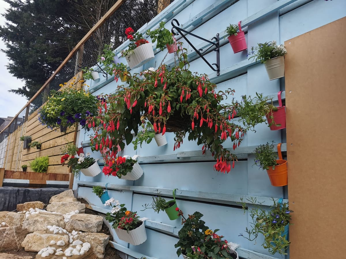 Planting & Borders by Stone Valley Landscapes