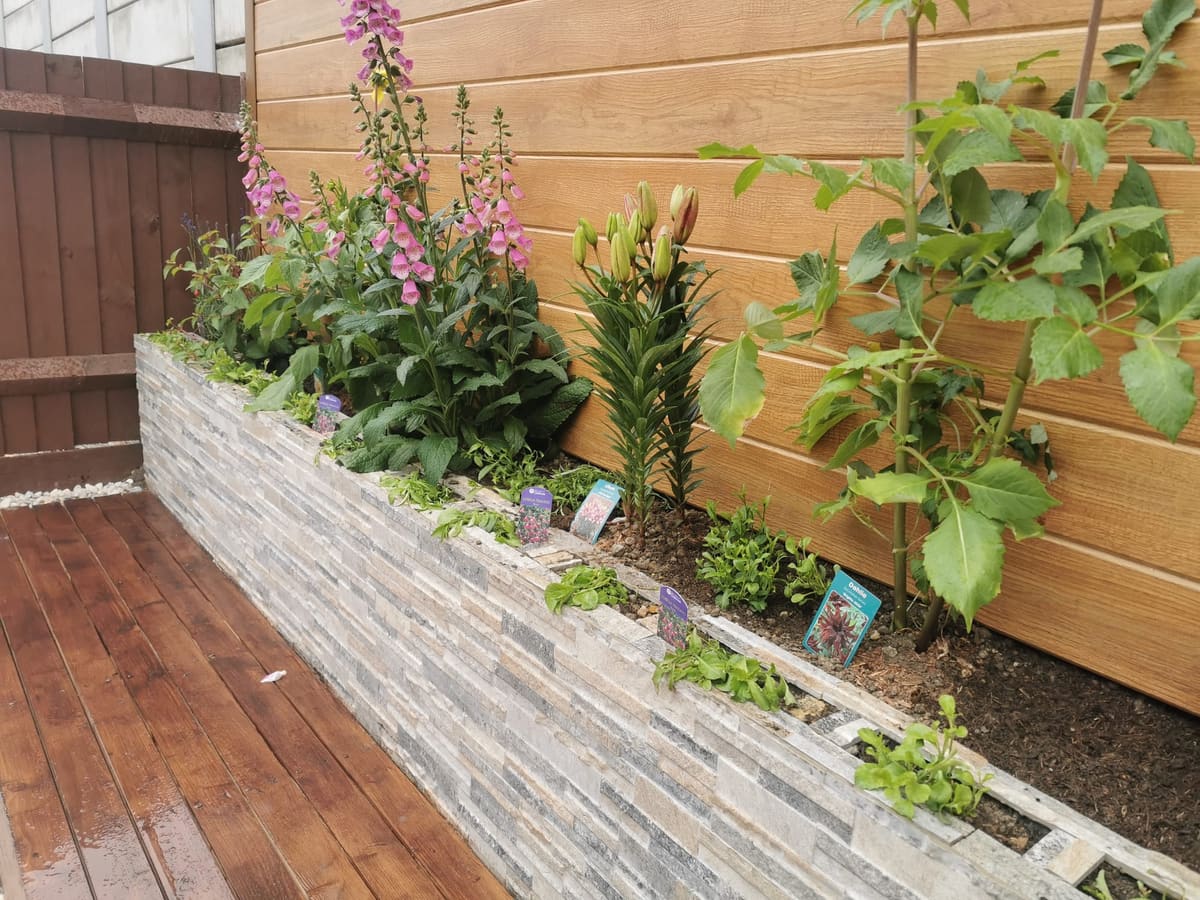 Planting & Borders by Stone Valley Landscapes
