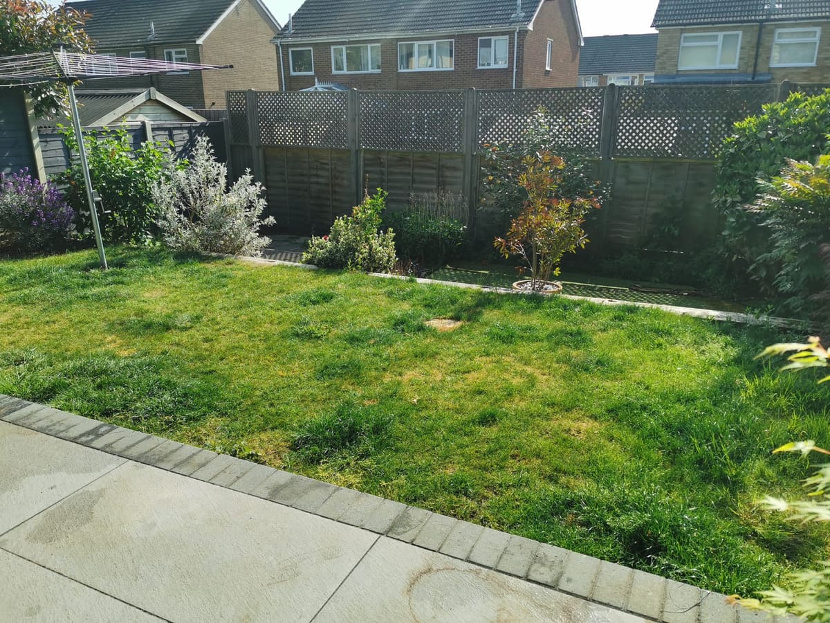 Before: a patchy lawn and bare borders