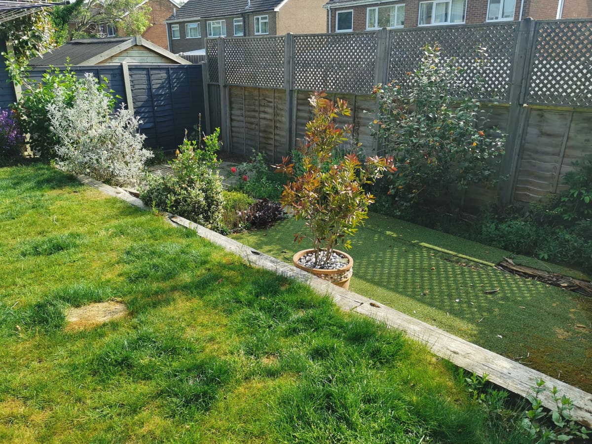 Garden transformation, photo 2