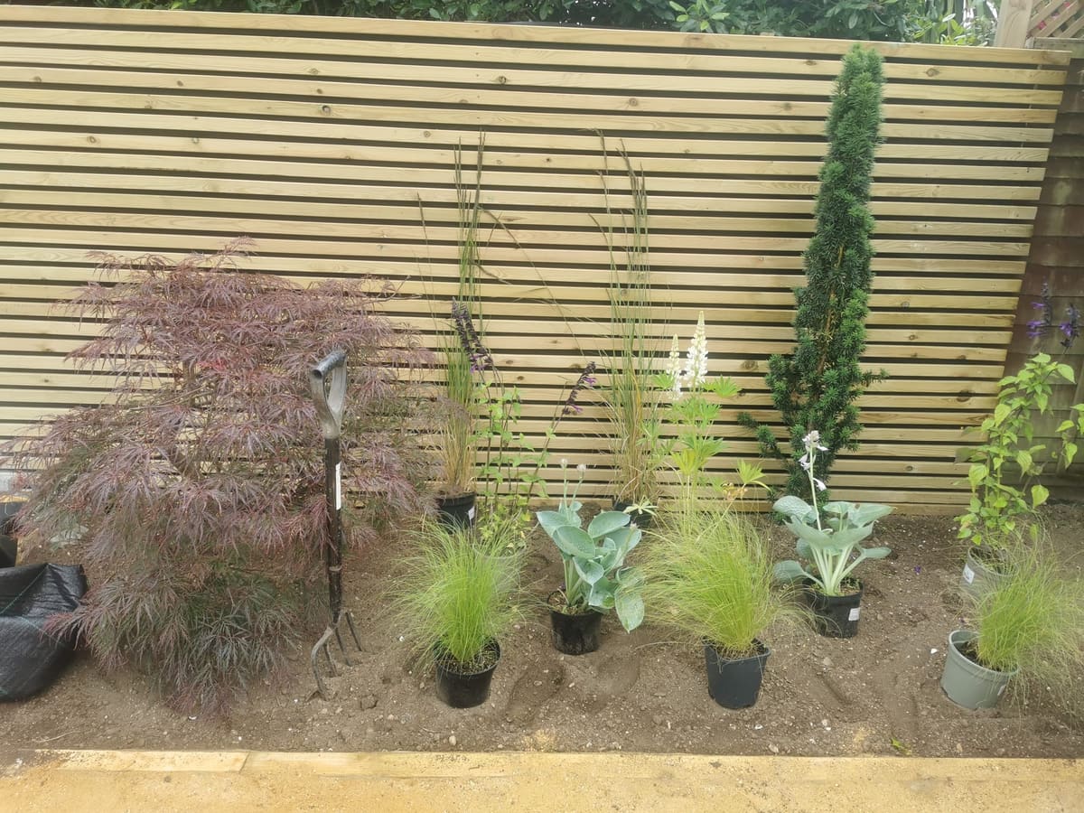 Garden transformation, photo 3