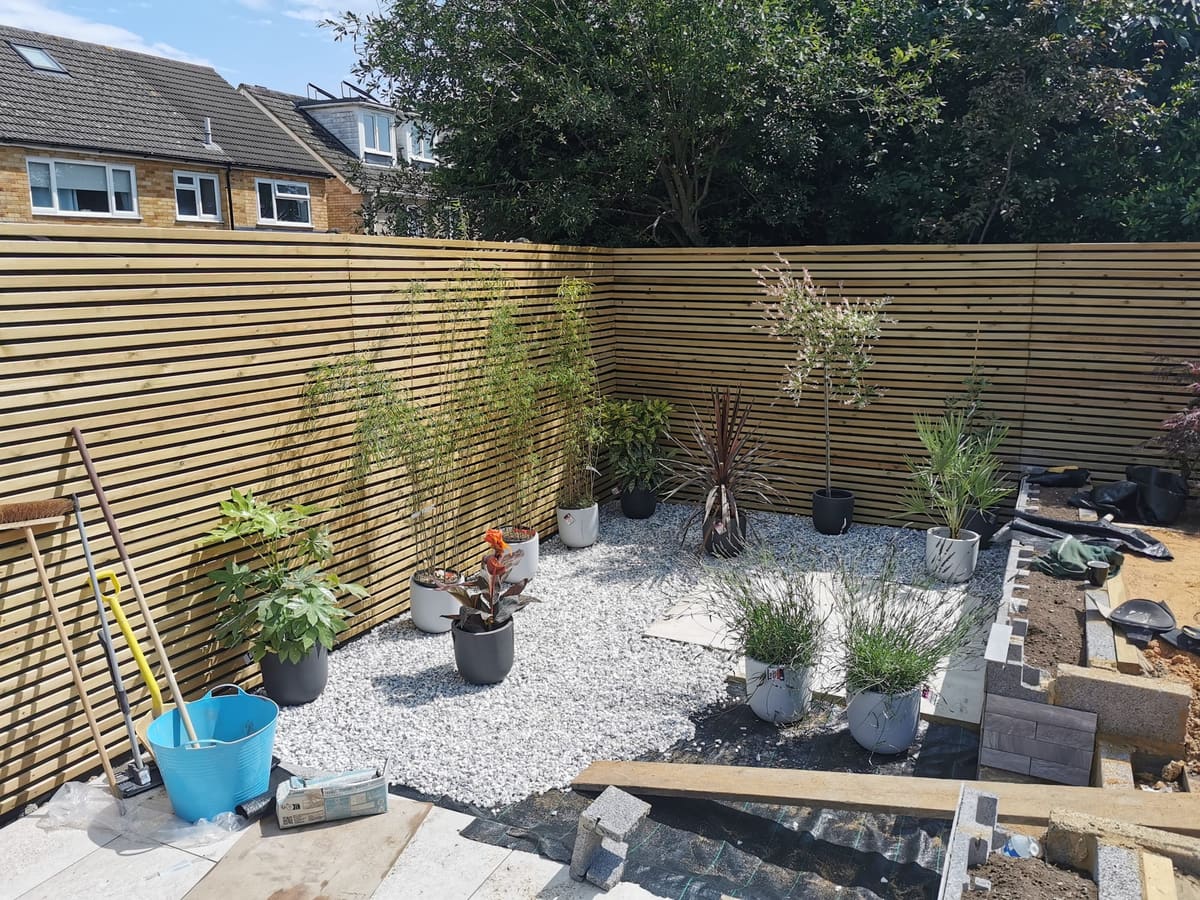 Garden transformation, photo 4