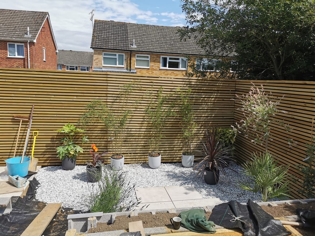 Garden transformation, photo 5