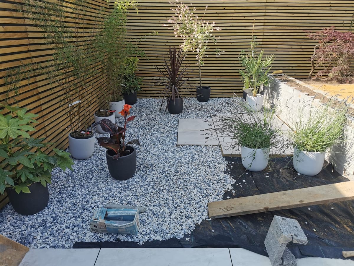 Garden transformation, photo 6