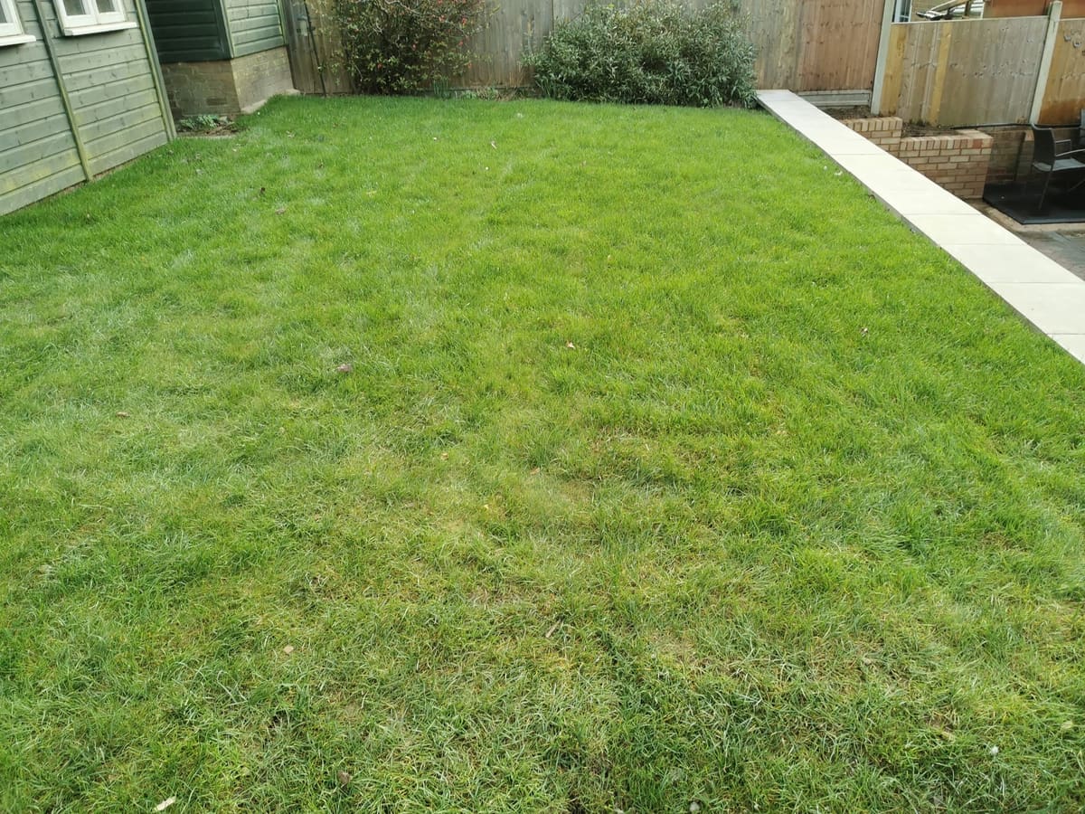 Real Lawns & Turfing by Stone Valley Landscapes