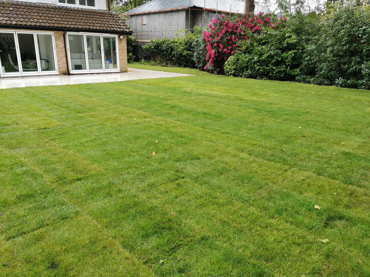 Real Lawns & Turfing by Stone Valley Landscapes