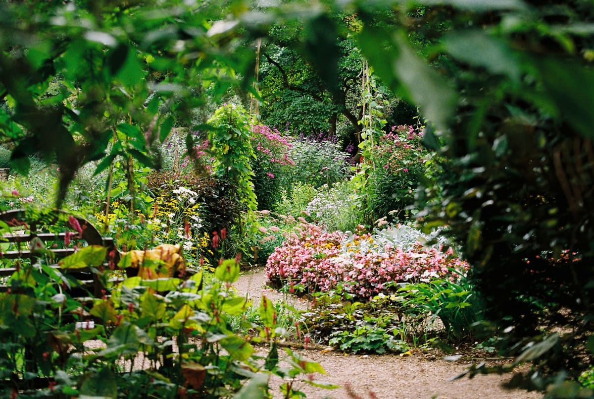 A gravel path winding between full cottage-garden borders in summer